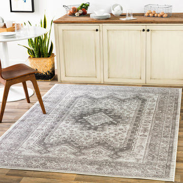 Dgarlac Transitional Area Rug
